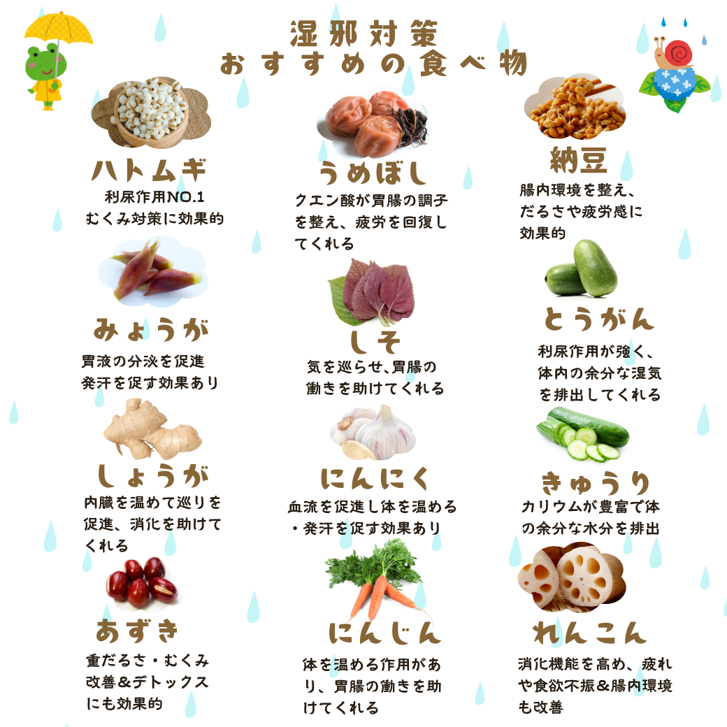 湿邪対策おすすめの食べ物